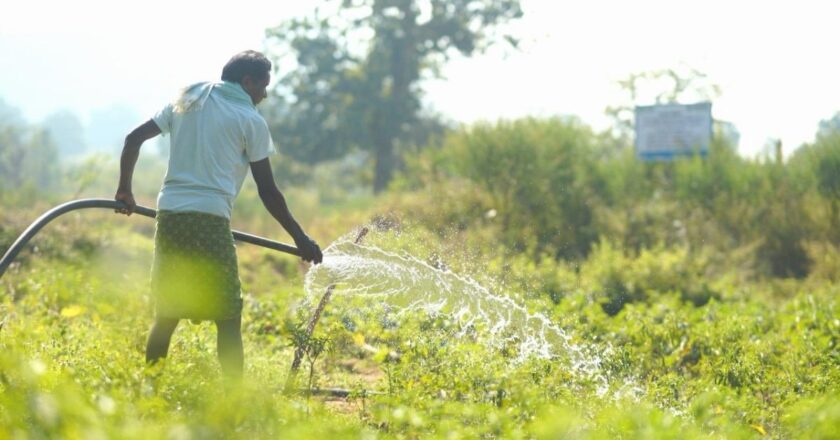 Vedanta Aluminium Enables Irrigation Across 800+ Acres in 41 Villages of Kalahandi