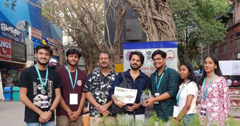 Shatavari: An ancient herb, potential tool for healthcare and holistic well-being