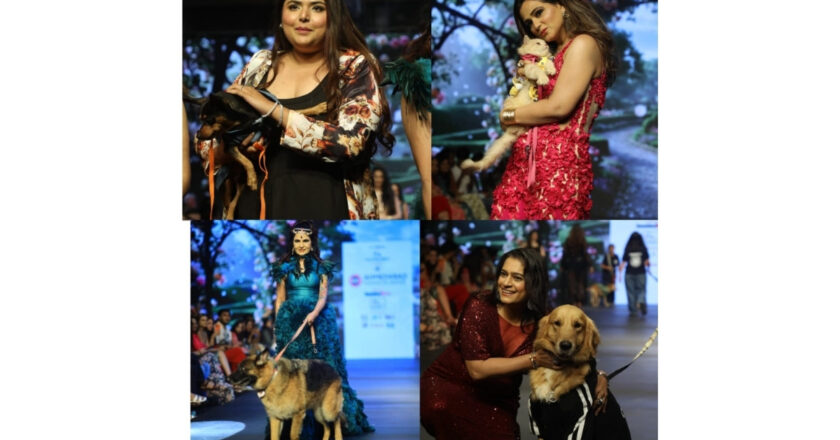 Tails and Threads Pet Couture by Archana Jain Shines at Ahmedabad Fashion Week Season 3 with Barkville Foundation