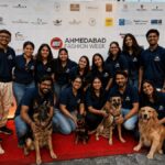 More Than a Shelter, A Lifeline: The Remarkable Impact of Barkville Foundation