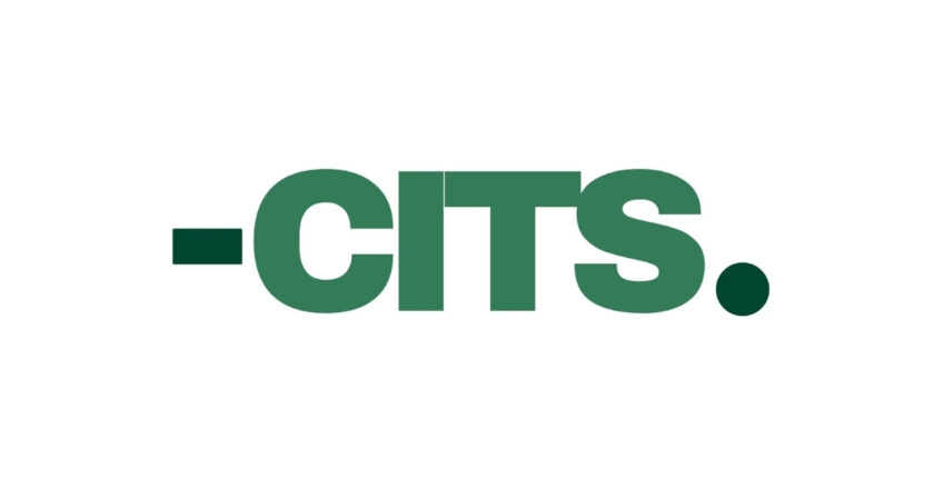 CITS Ltd: Building Scalable Solutions in a Rapidly Evolving Digital Economy