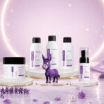 MIRACARA Launches Gujarat’s First Donkey Milk-Based Skincare Brand, Blending Ancient Beauty Wisdom with Modern Medical Research