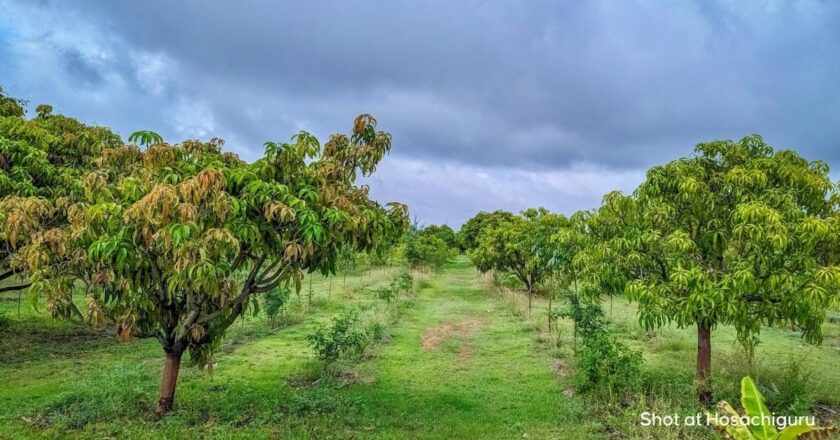 India’s Next Conservation Movement Is Already Taking Shape